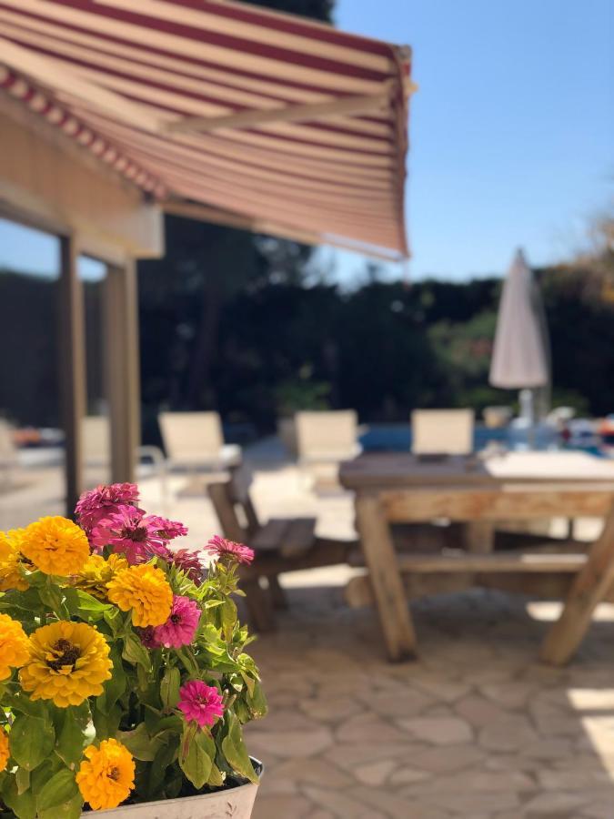 Le Paradis D'Anny Rouffiac-d'Aude Экстерьер фото