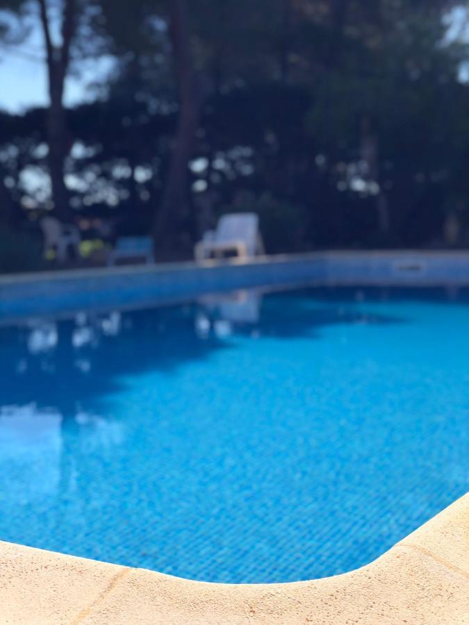 Le Paradis D'Anny Rouffiac-d'Aude Экстерьер фото
